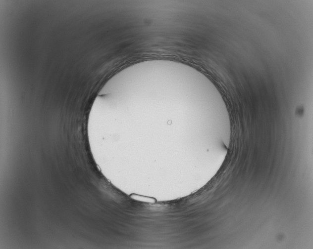 X0000116830233201001151233