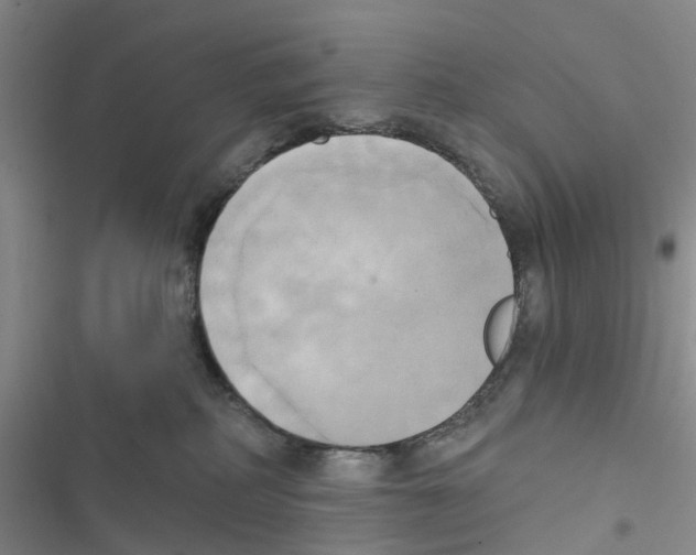 X0000116830234201001151233