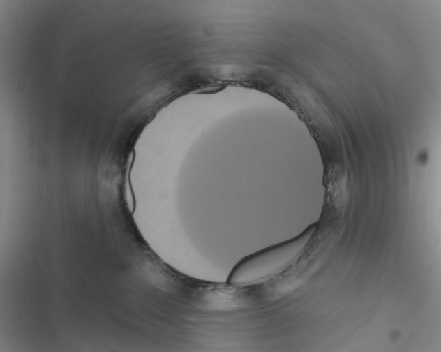 X0000116830235201001151233