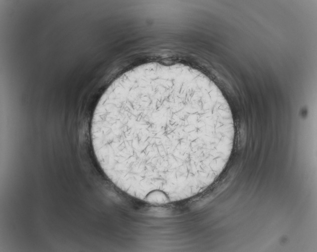 X0000116830236201001151233