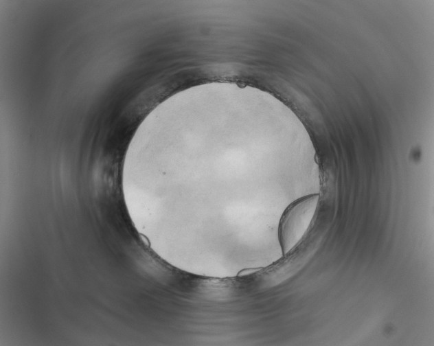 X0000116830238201001151233