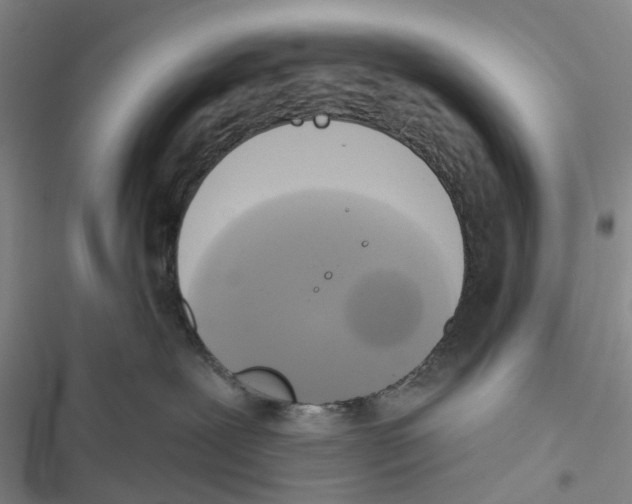 X0000116830239201001151233