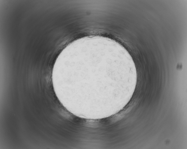 X0000116830240201001151233