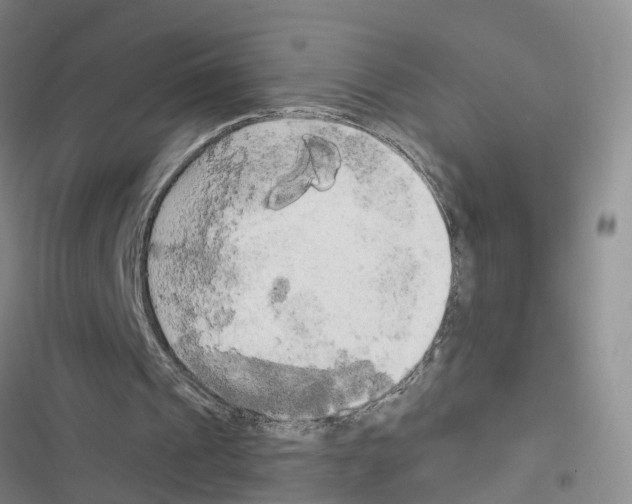 X0000116830241201001151232