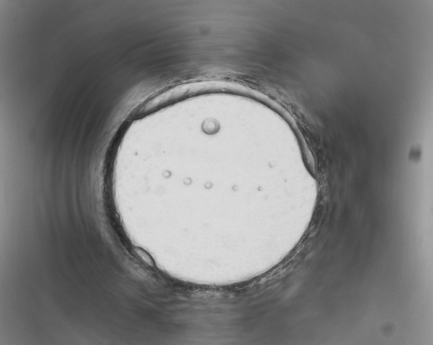 X0000116830242201001151232