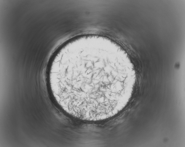 X0000116830244201001151232