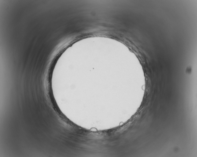 X0000116830245201001151232