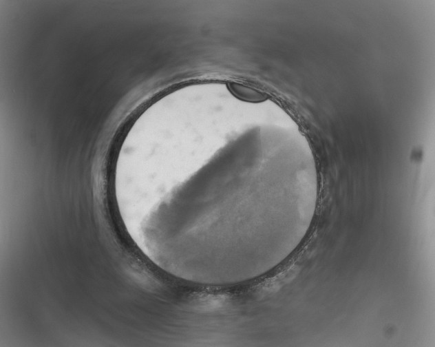 X0000116830247201001151232