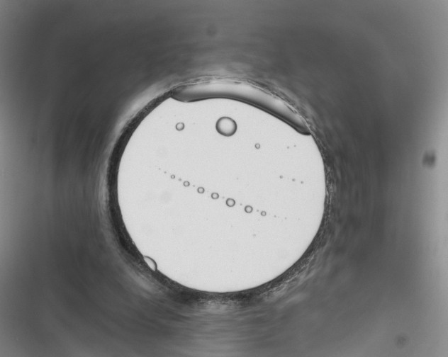 X0000116830248201001151232