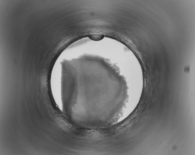 X0000116830249201001151232