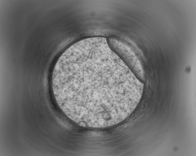 X0000116830250201001151232