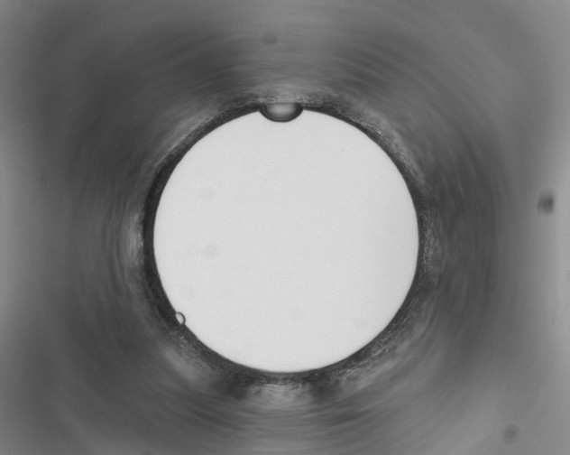 X0000116830251201001151232