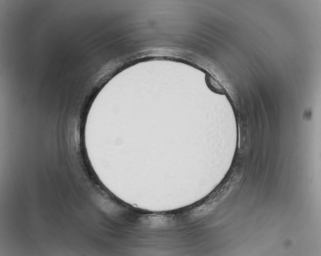 X0000116830253201001151232