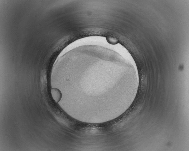 X0000116830254201001151232