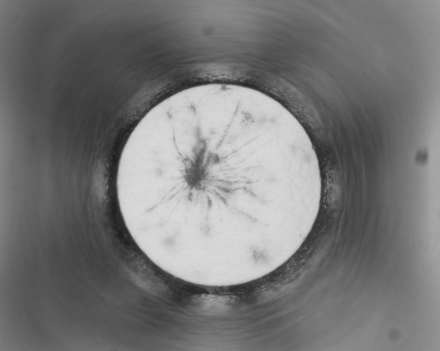 X0000116830255201001151232