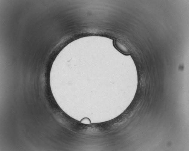 X0000116830256201001151232