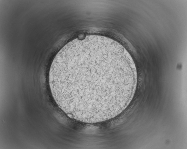 X0000116830257201001151232