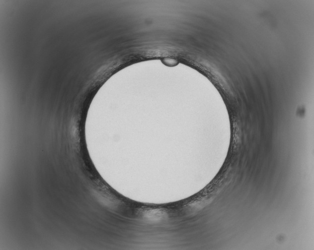 X0000116830258201001151232