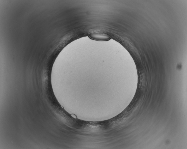 X0000116830260201001151232