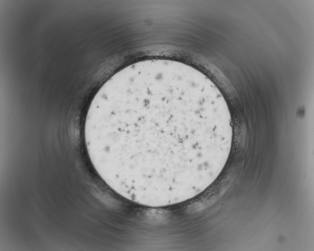 X0000116830261201001151232