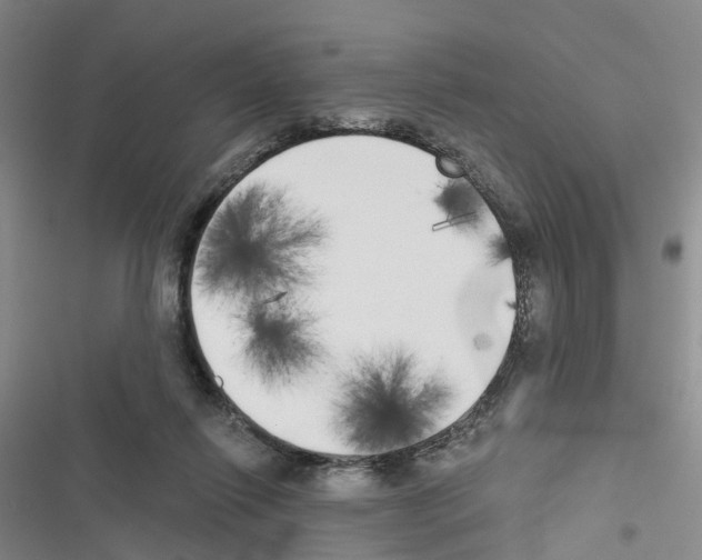 X0000116830262201001151232