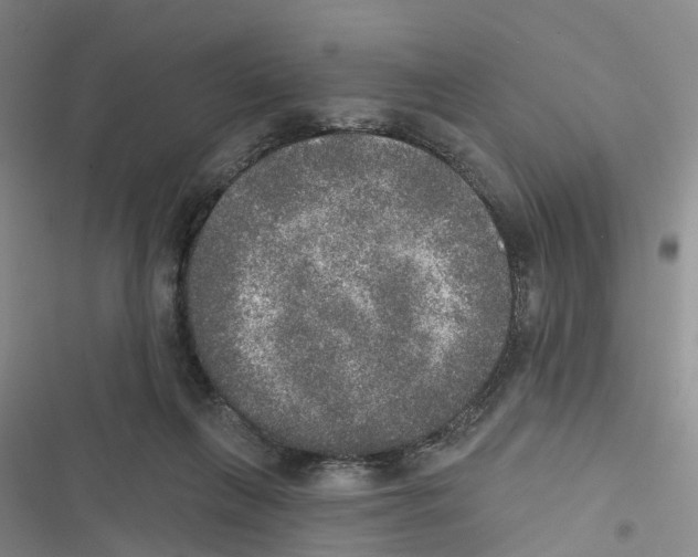 X0000116830263201001151232