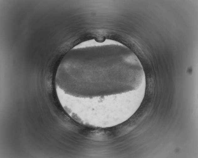 X0000116830267201001151232