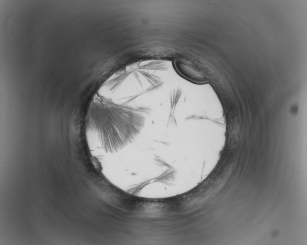 X0000116830268201001151232