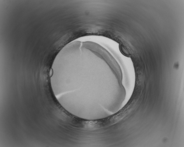 X0000116830273201001151232