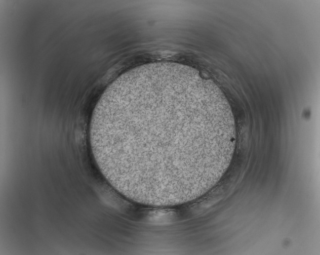 X0000116830274201001151232