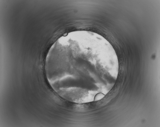 X0000116830277201001151232