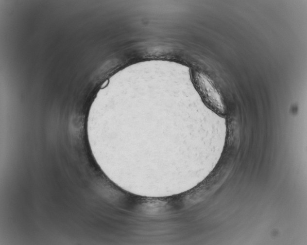 X0000116830278201001151232