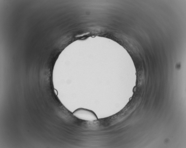 X0000116830279201001151232