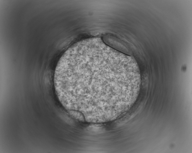 X0000116830280201001151232