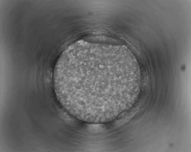 X0000116830281201001151232