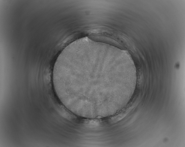 X0000116830282201001151232