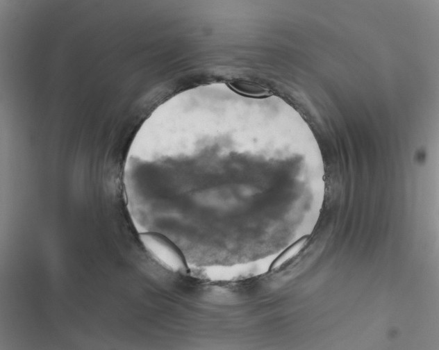 X0000116830285201001151233