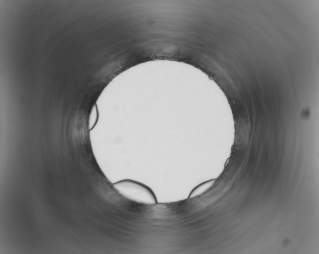 X0000116830287201001151233