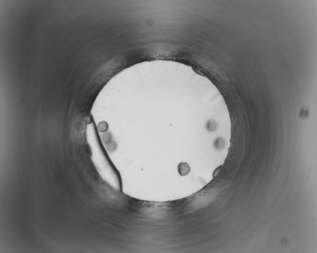 X0000116830288201001151233