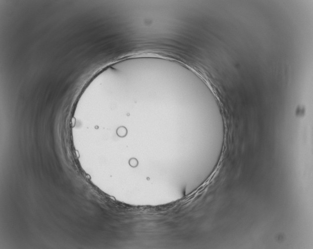 X0000116830289201001151232