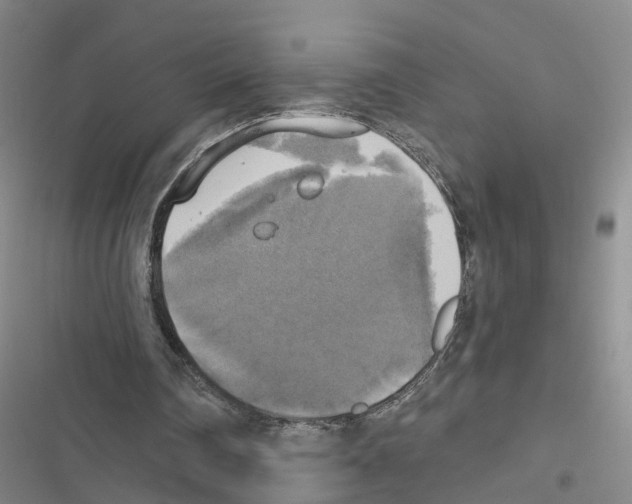 X0000116830290201001151232