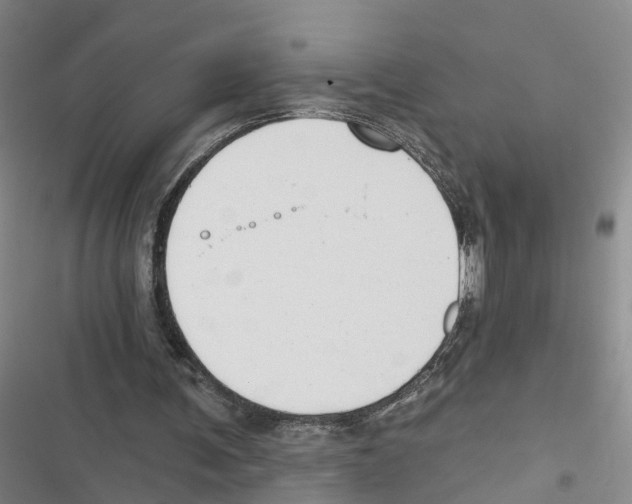 X0000116830291201001151232