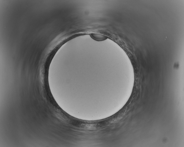 X0000116830295201001151232