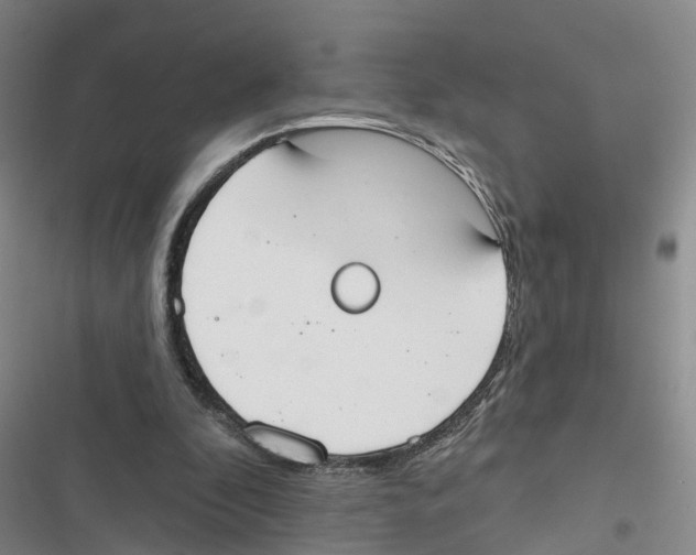 X0000116830296201001151232