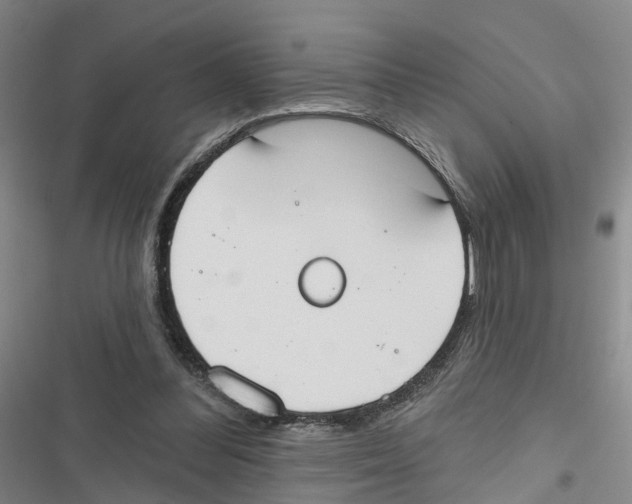 X0000116830300201001151232