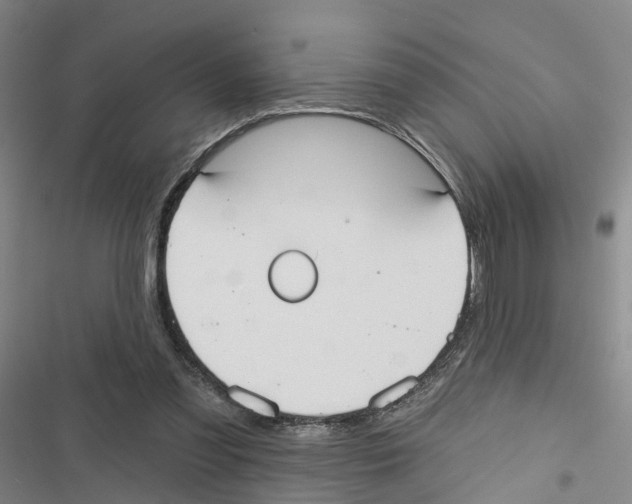 X0000116830301201001151232