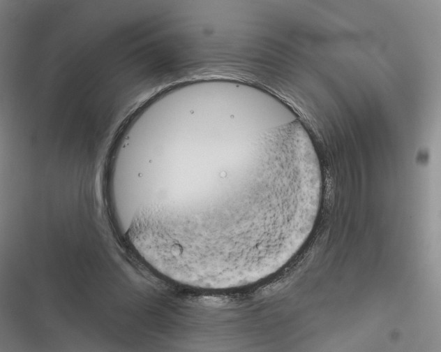 X0000116830302201001151232