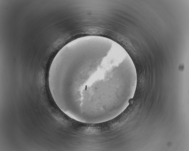 X0000116830303201001151232