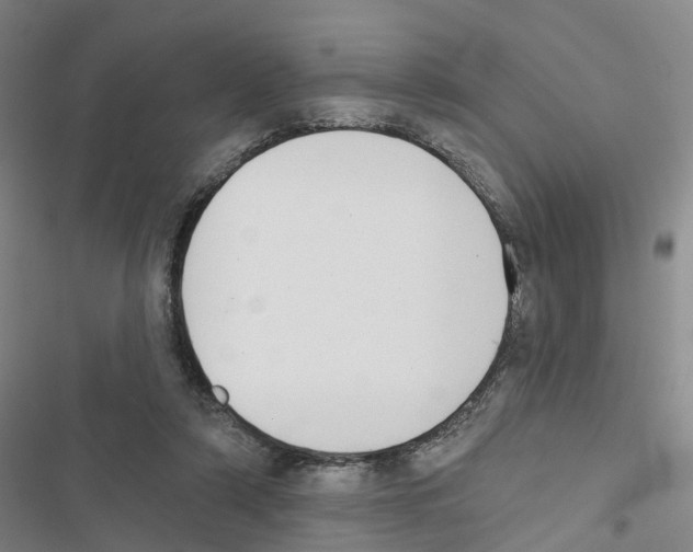 X0000116830306201001151232