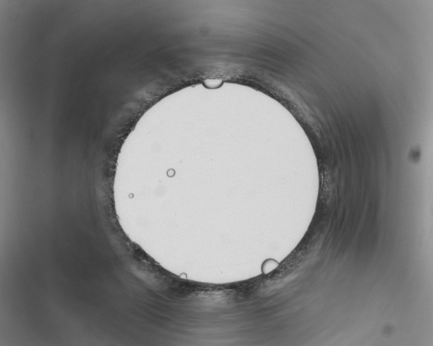 X0000116830307201001151232